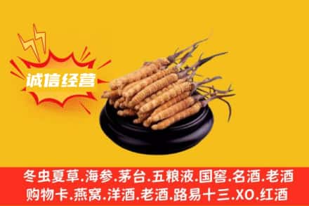 齐齐哈尔克山回收冬虫夏草